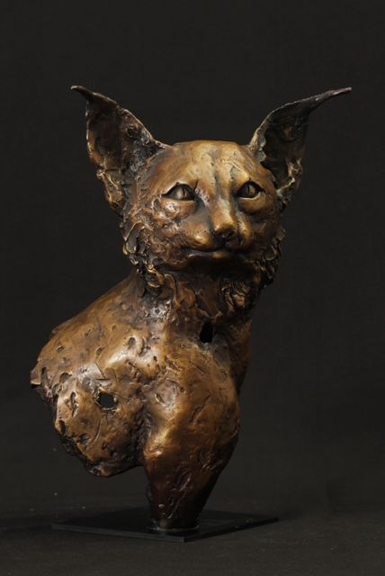 Iberian Lynx