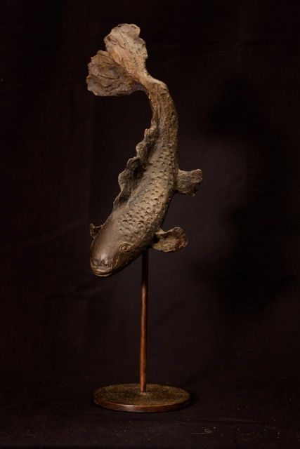 Koi