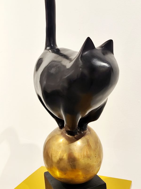 Gato con balón