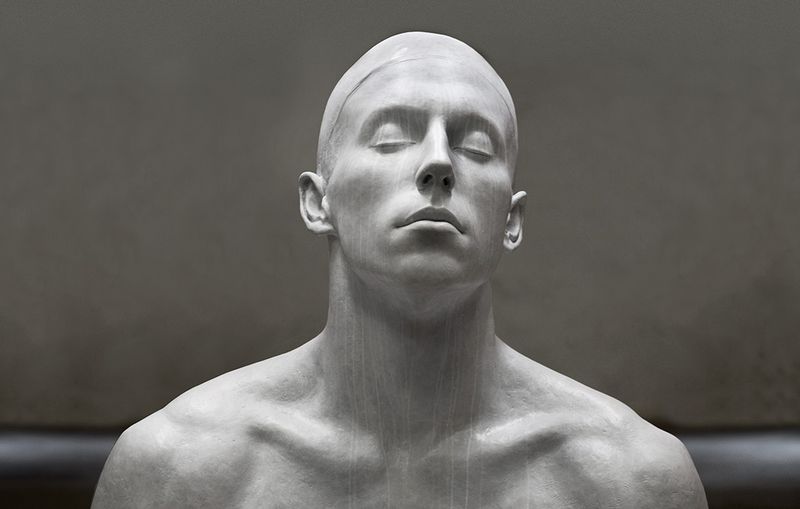 The Swimmer