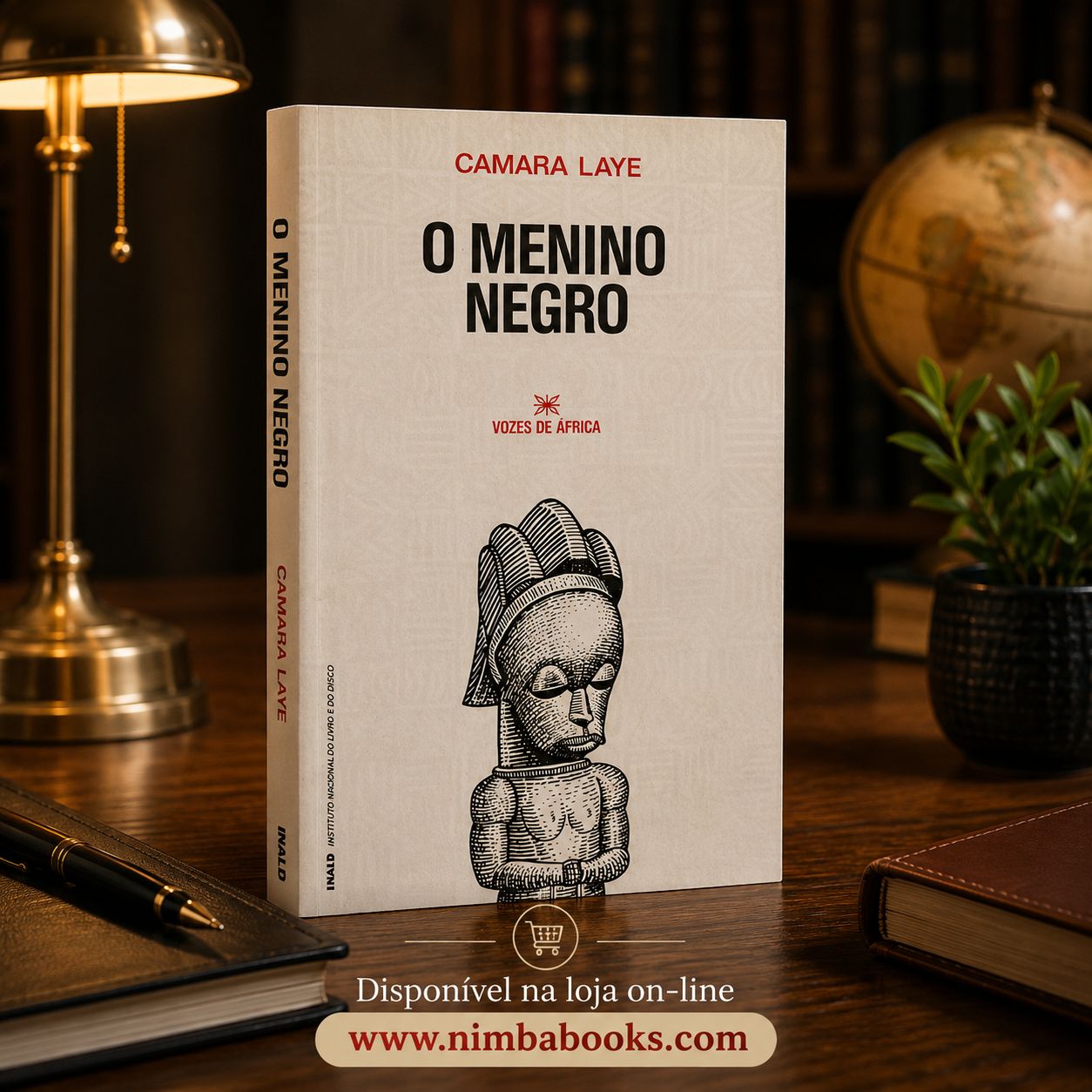 O MENINO NEGRO