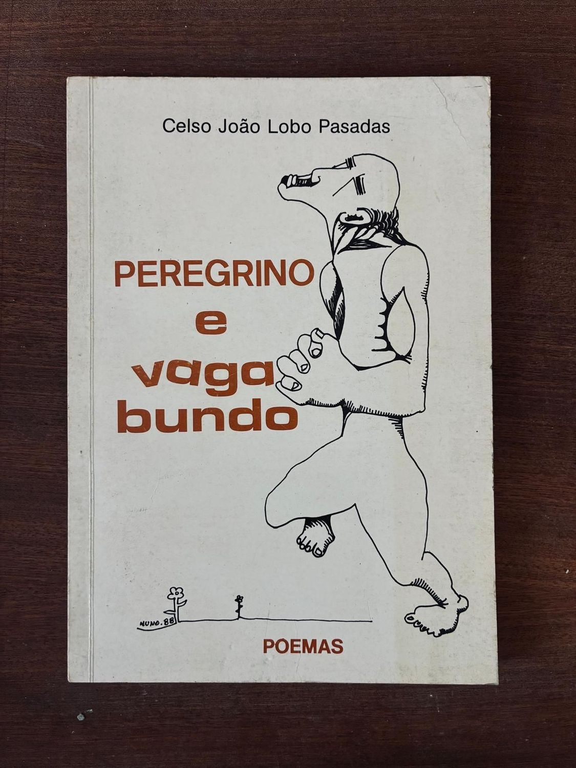 PEREGRINO E VAGABUNDO
