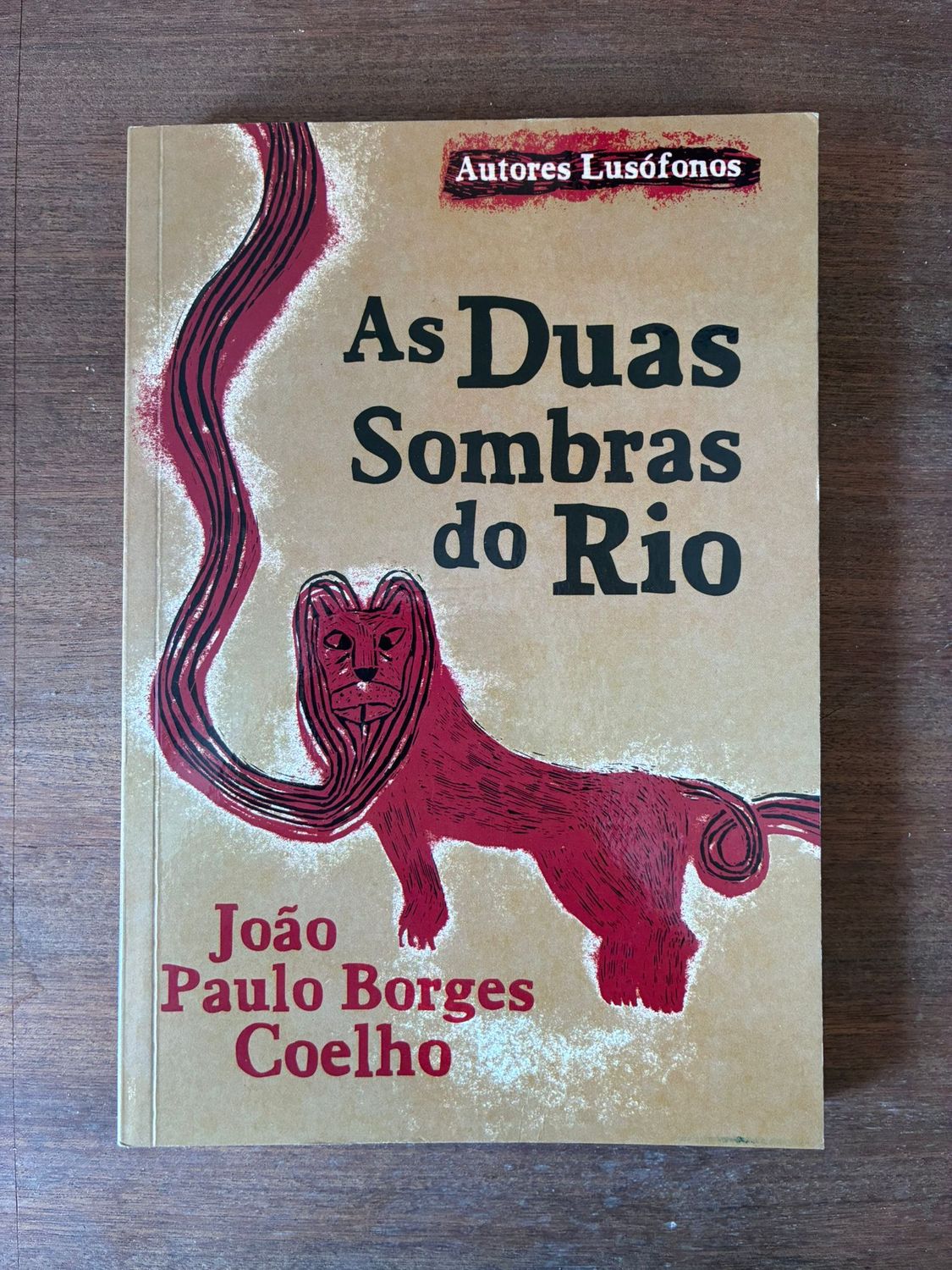 AS DUAS SOMBRAS DO RIO