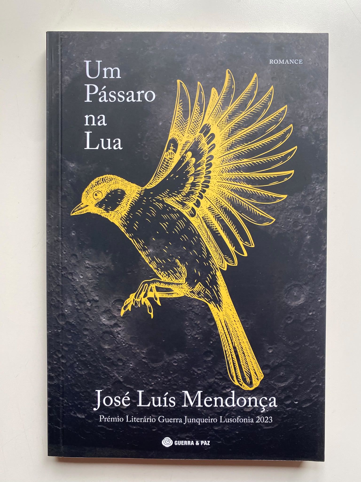Um Pássaro na Lua