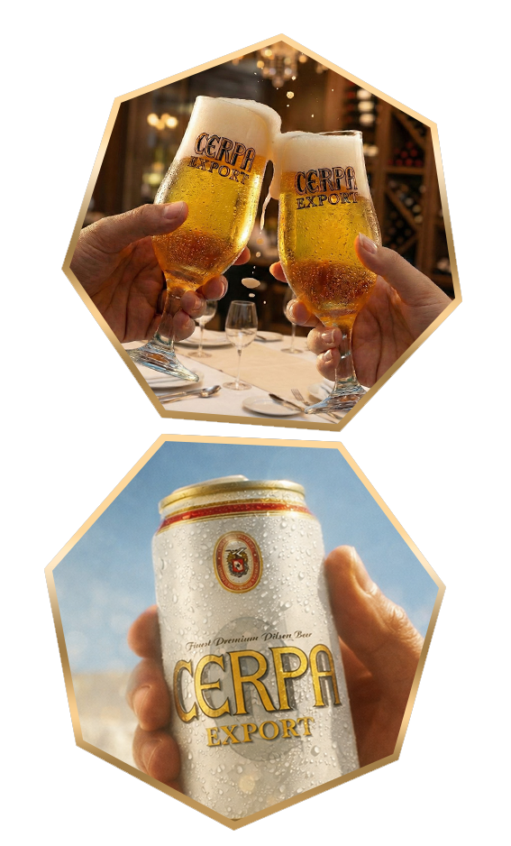 Cerpa Export lifestyle hexagons