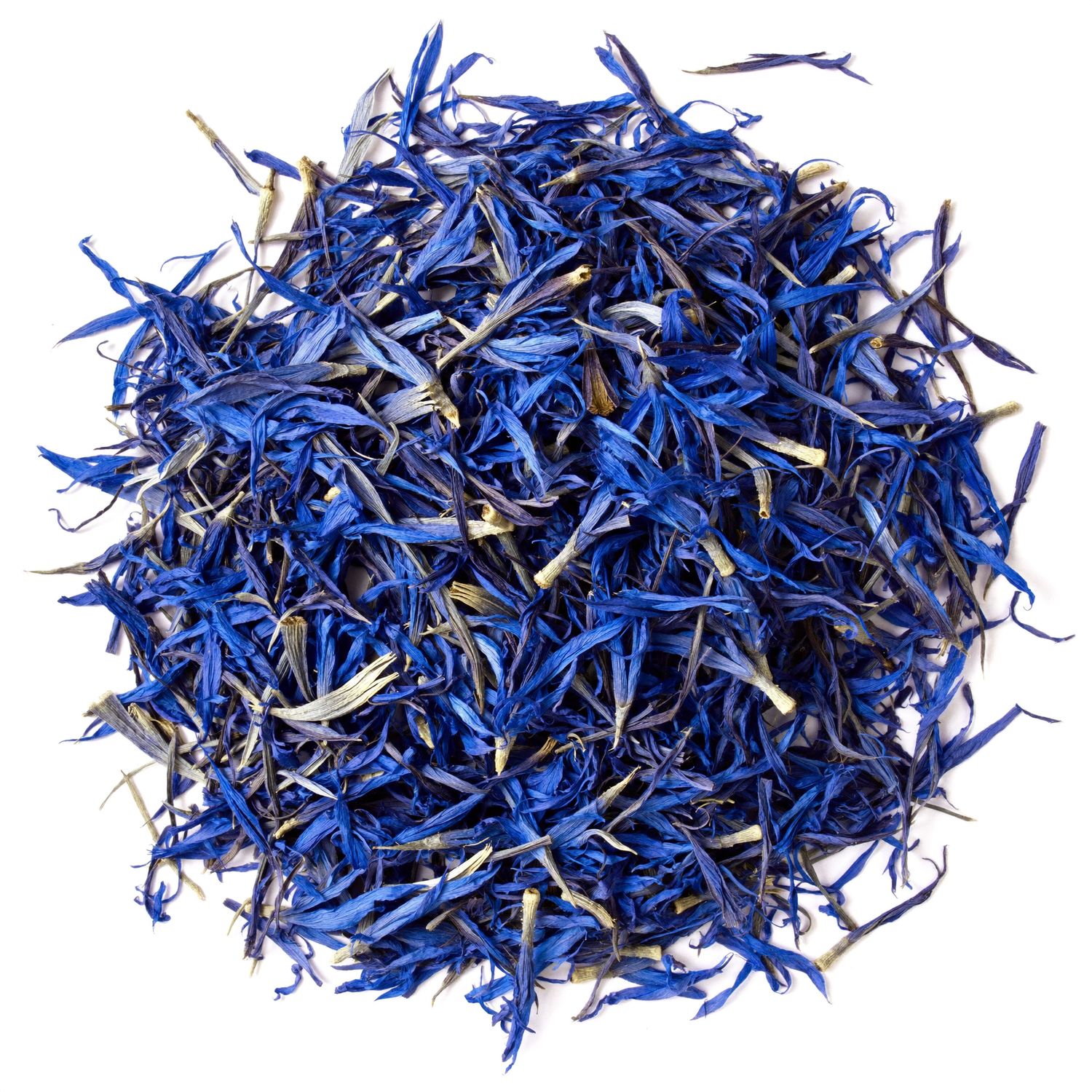 Blue cornflower