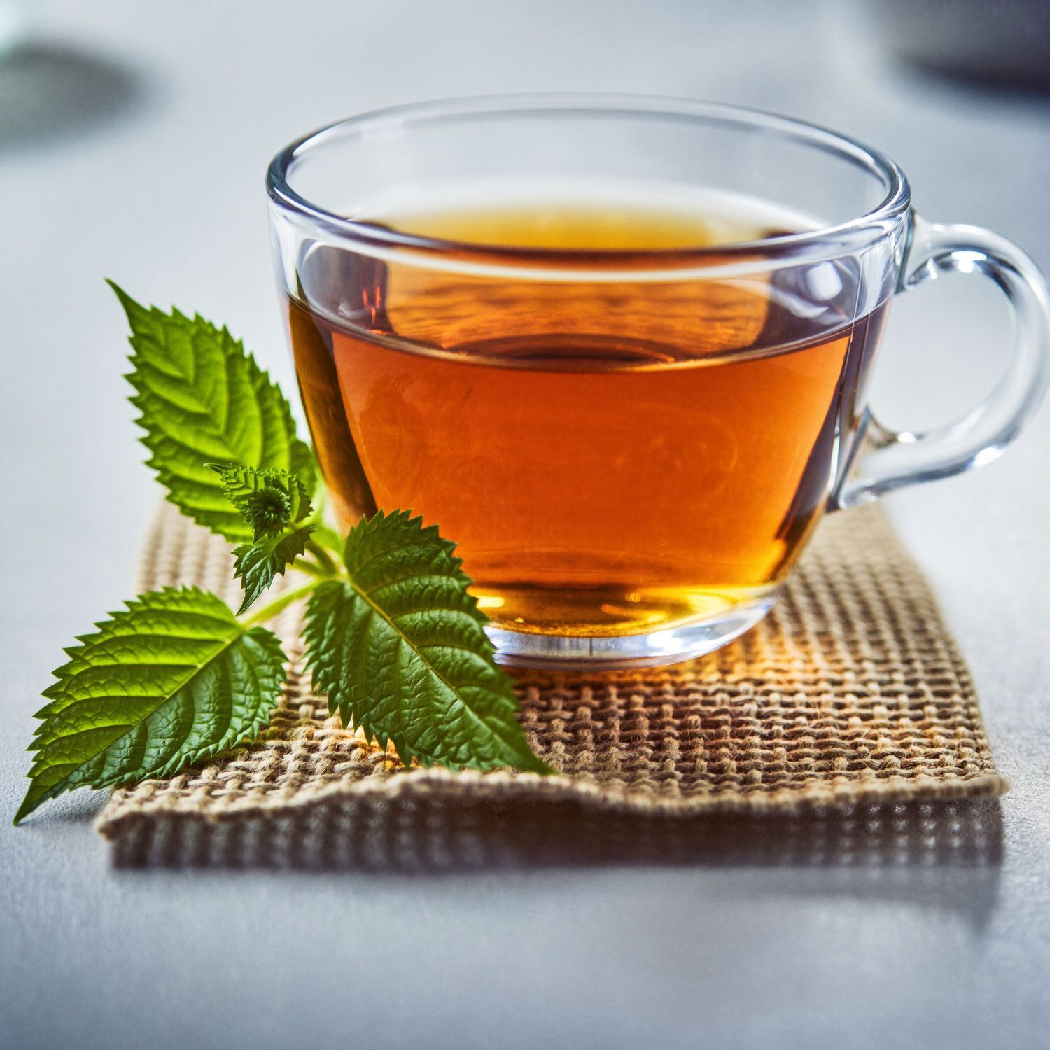 ​Nettle Leaf