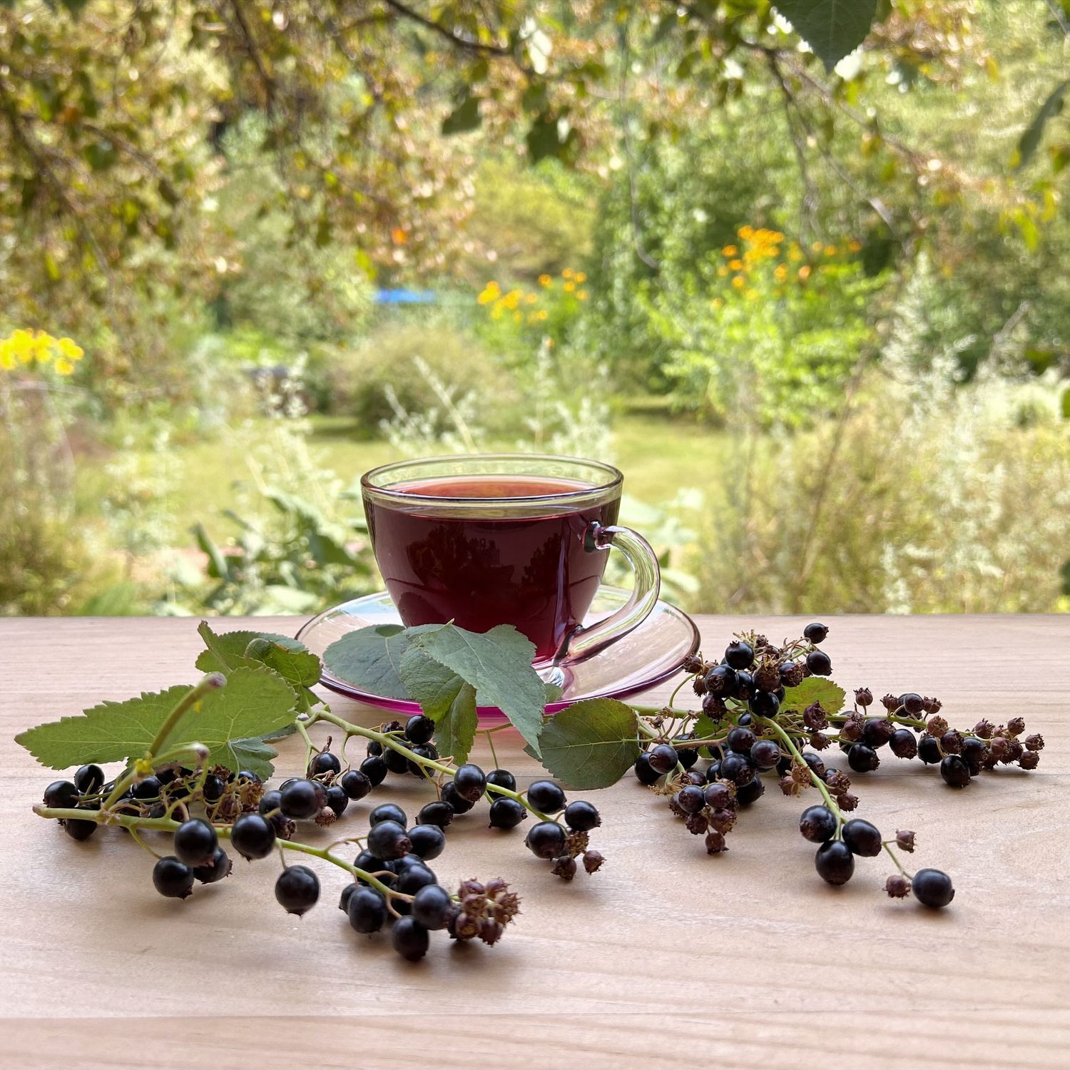 ​Elderberries