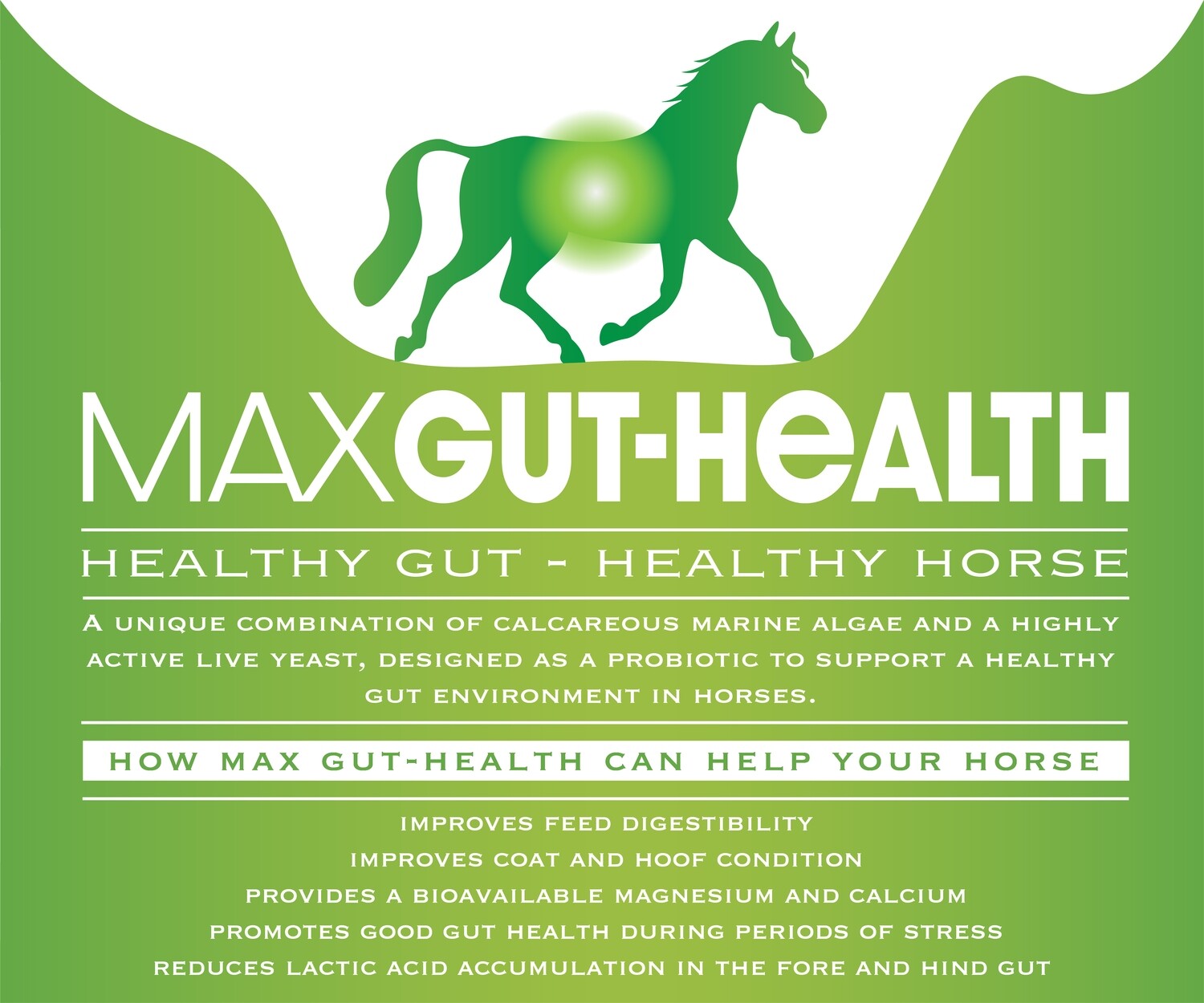 MAXimum Gut-Health 16kg for large yards save £67