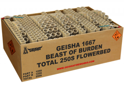 1667 Beast of Burden 250  schots