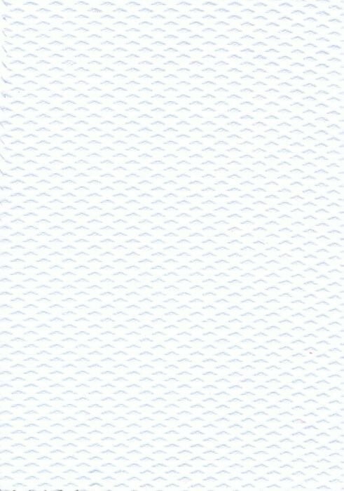 PIQUE NEPAL BLANCO 02