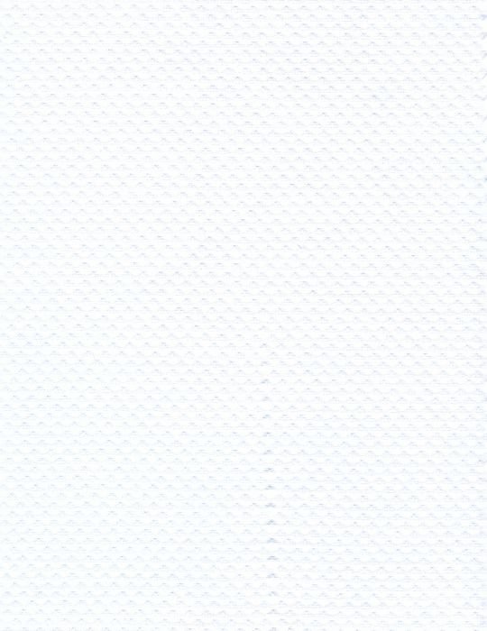PIQUE VALENCIA BLANCO 02
