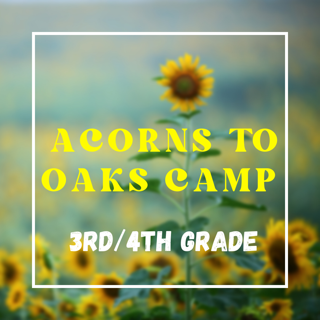 2023 3rd/4th Grade Acorns to Oaks Camp with Mrs. Whitt and Mrs. Buhl! July 24th-28th