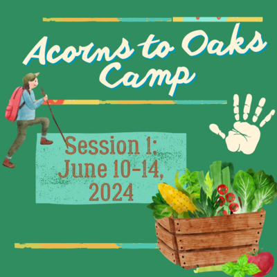 2024 Acorns to Oaks Camp with Mrs. Whitt and Mrs. Buhl! Rising 1st-4th Grade, June 10th-14th, Session 1