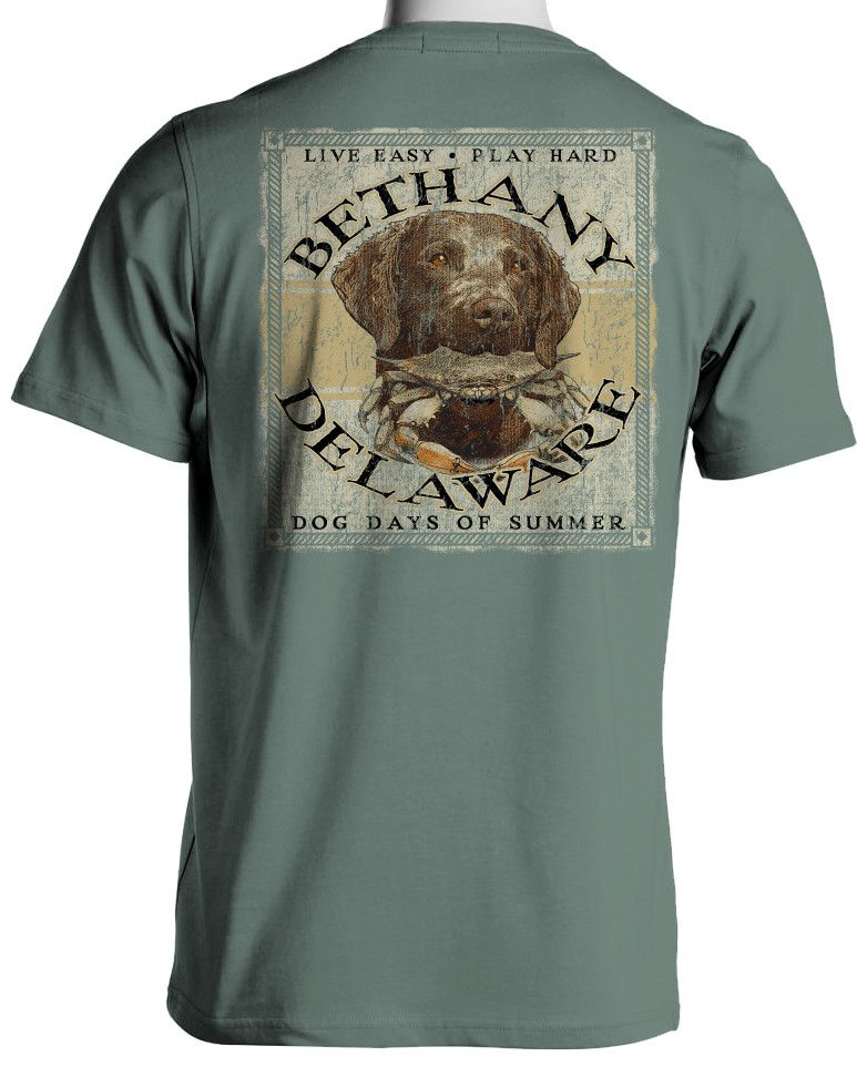 BETHANY BAYWOOD CHESAPEAKE SS TEE, Color: LIGHT GREEN, Size: S