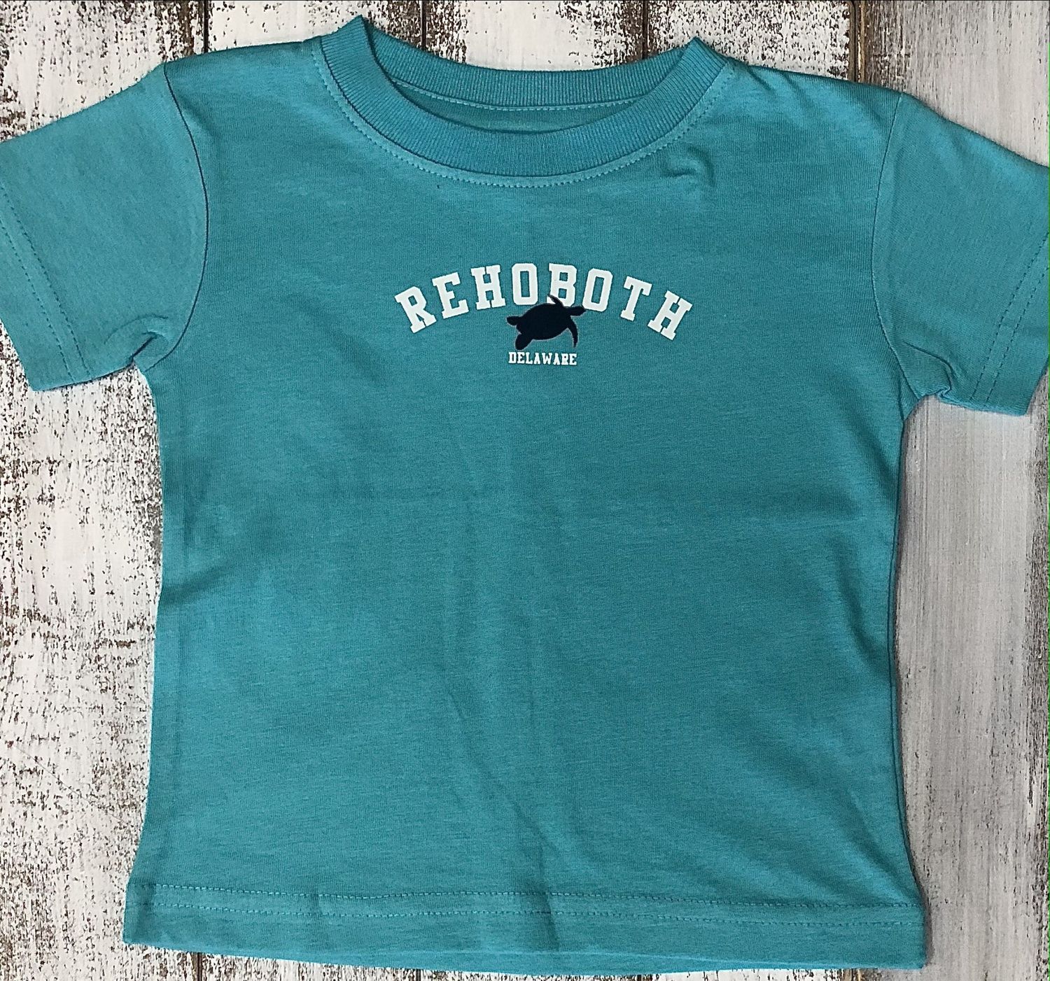 INFANT CLASSIC TURTLE SS TEE