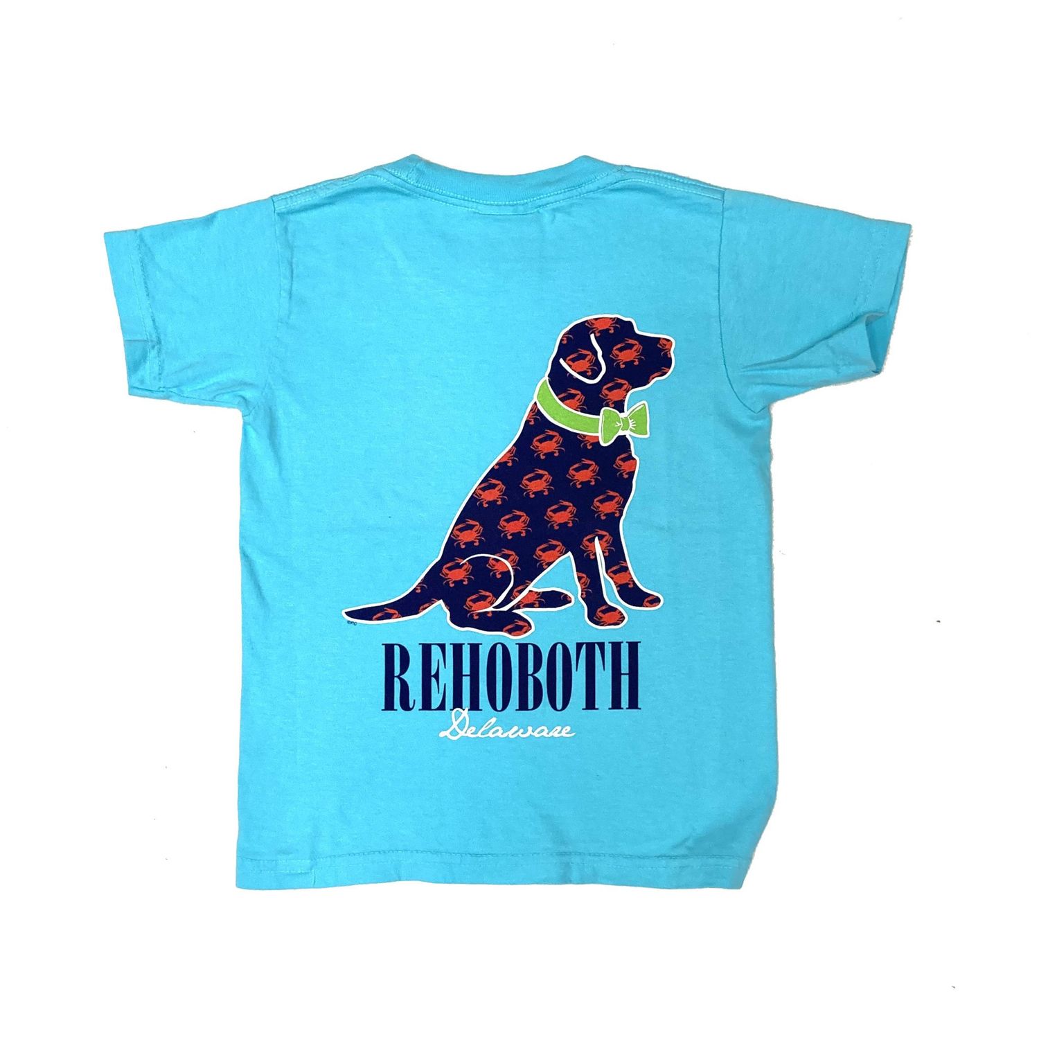 YOUTH CRABBY LAB SS TEE