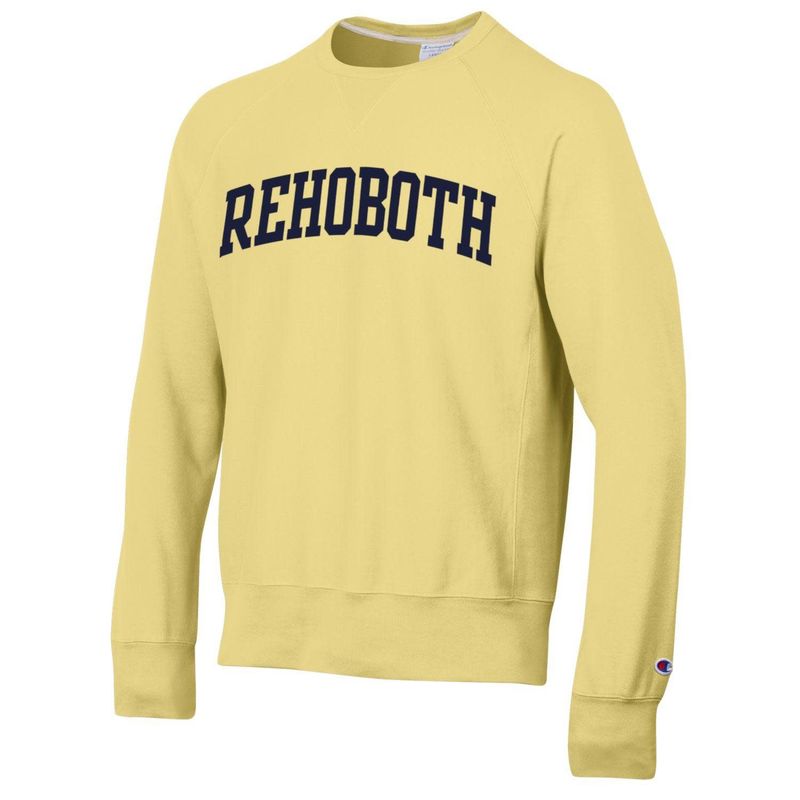 CHAMPION VINTAGE CLOUD WASH CREWNECK