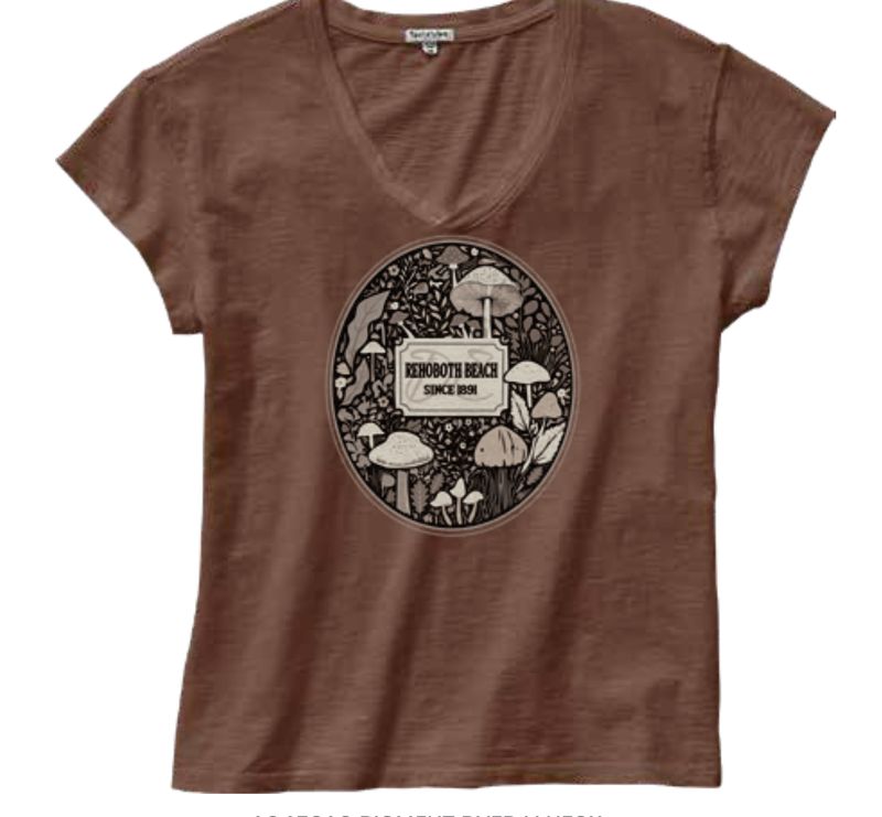 PIGMENT DYED FUN GUYS VNECK SS TEE