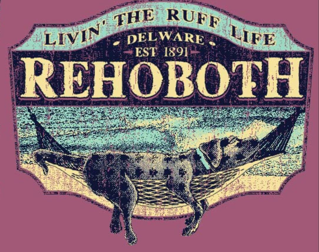 BEACH STICKER MOVEMENT HAMMOCK LAB