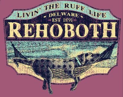 BEACH STICKER MOVEMENT HAMMOCK LAB