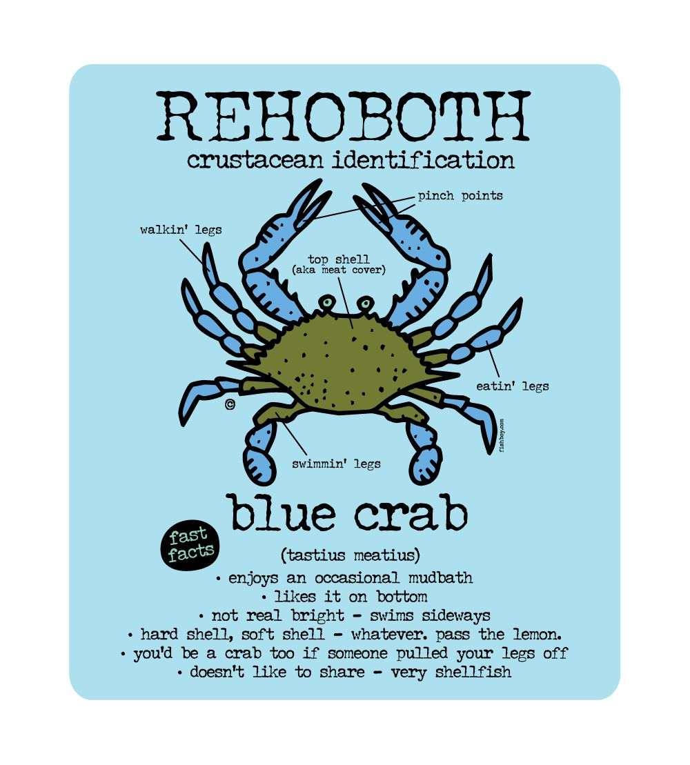BEACH STICKER BLUE CRAB