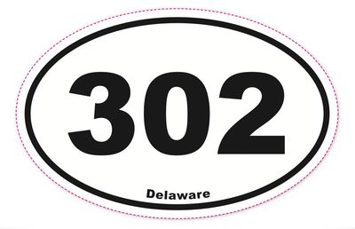 EURO STICKER 5.75 x 3.875 OVAL DELAWARE 302