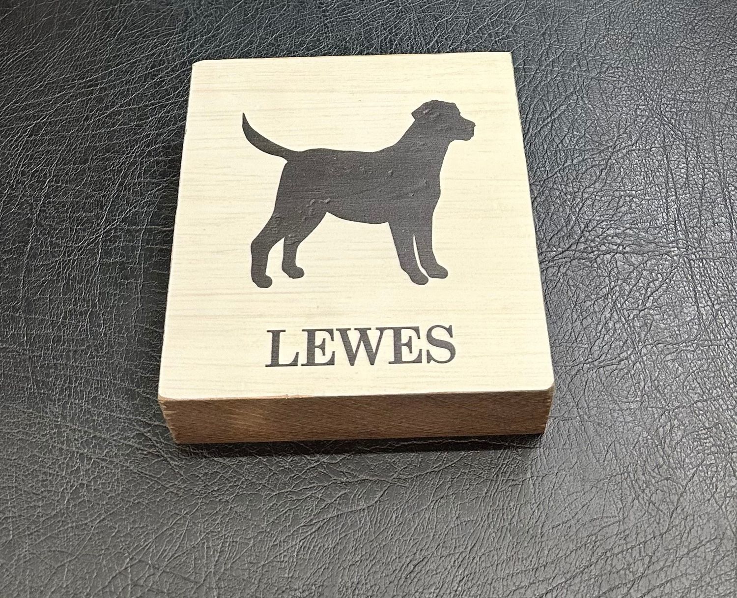 LEWES LAB BLOCK SIGN