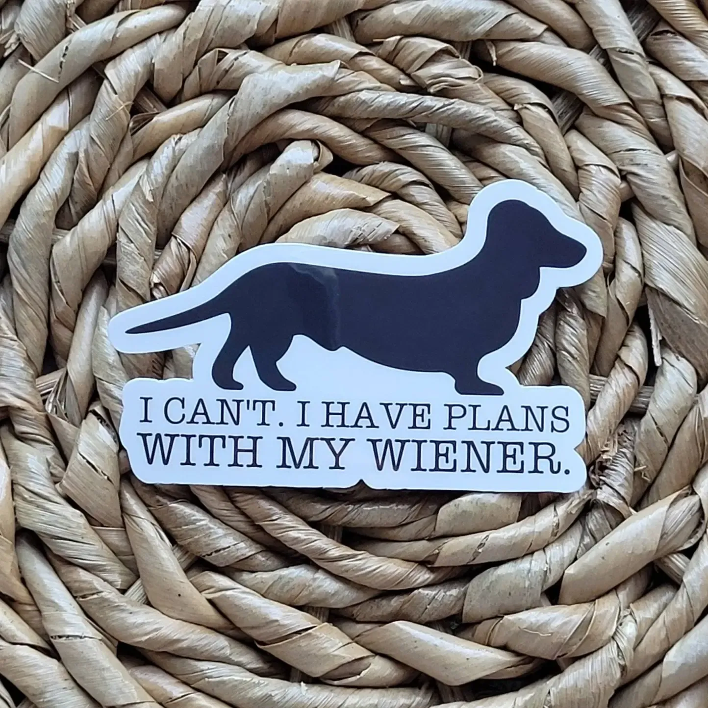 NOVELTY STICKER HAVE PLANS WITH MY WIENER