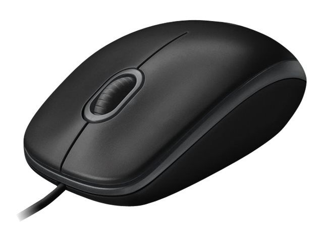 Logitech B100 Mouse