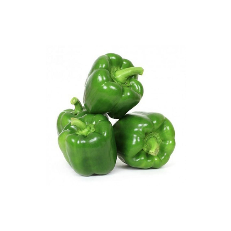 Green Bell Pepper | Extra Large 50-55 count