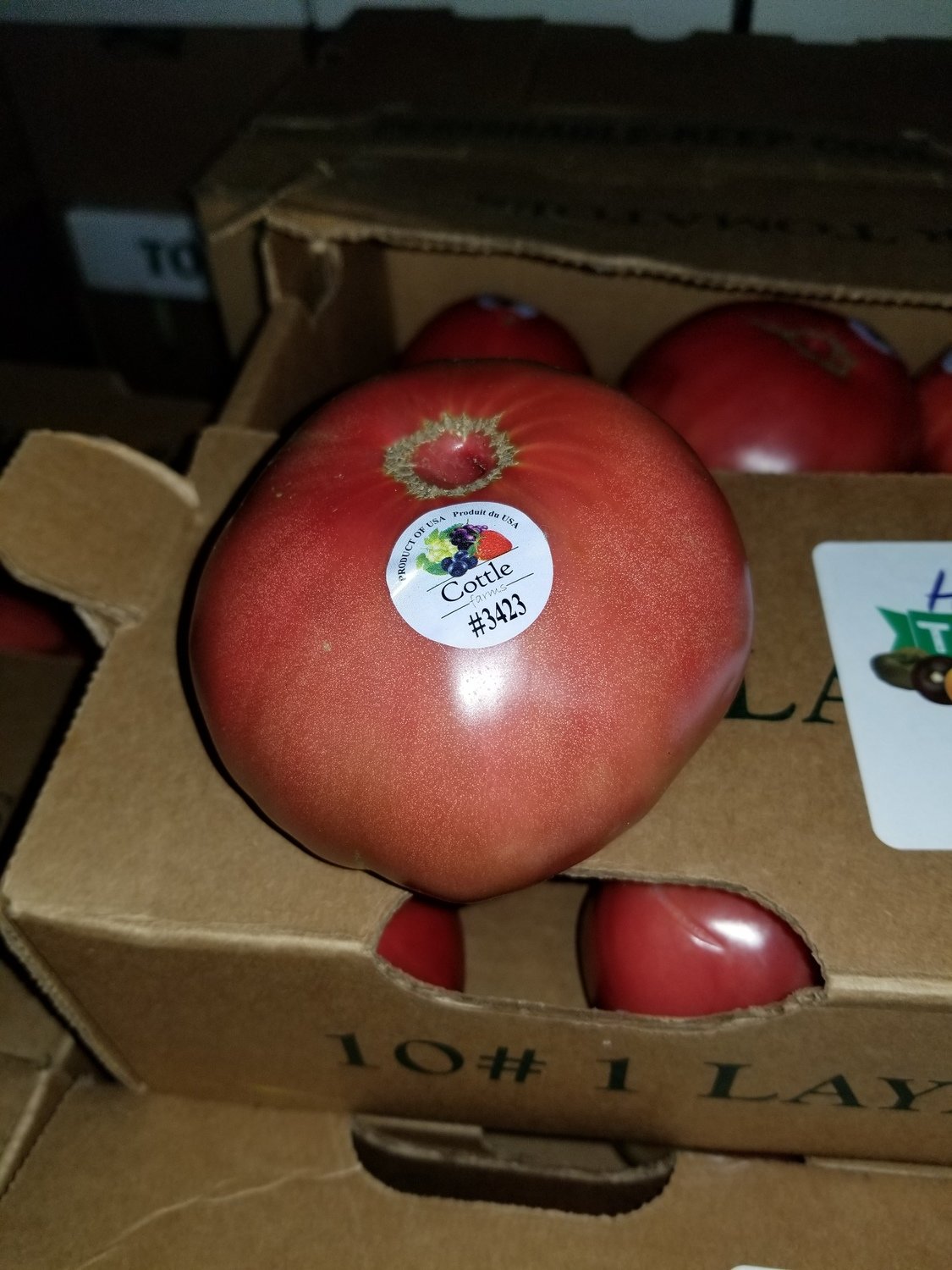 Heirloom Tomato 1015 lb. Flat (HT)