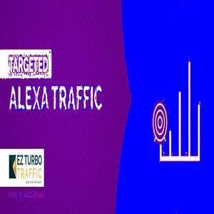 ALEXA TRAFFIC PACKAGES