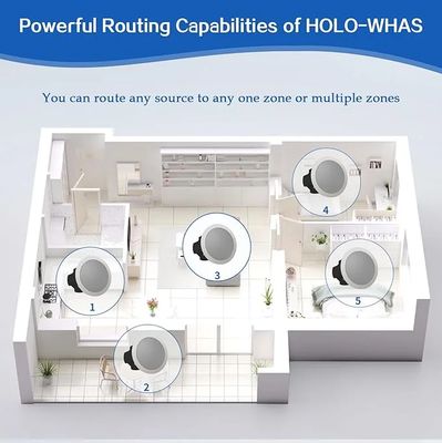 HOLOWHAS: 960W (60Wx 16) | 8 Streams 8 Zones Multi-Room Streaming Amplifier | Qobuz Connect, Airplay 2, Spotify Connect, DLNA, BT