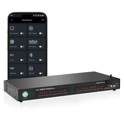 HOLOWHAS Ultra: 960W (60Wx 16 ) | 8 Streams 8 Zones Multi-Room Amplifier | RCA,HDMI ARC,SPDIF | Bluetooth | EQ | USB Disk