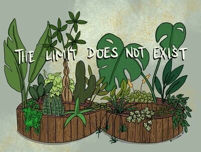 The Limit Does Not Exist Print