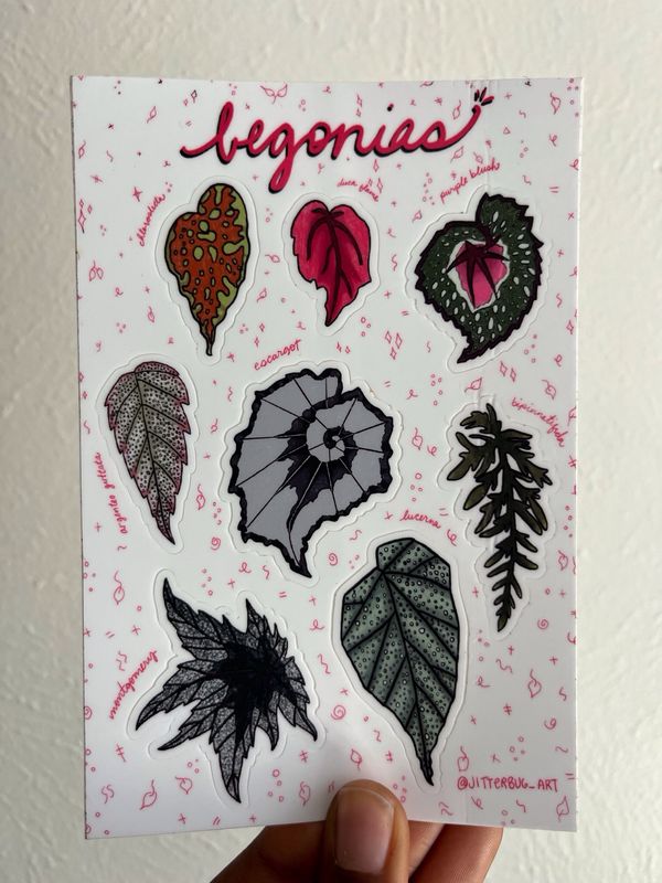 Begonia Sticker Sheet