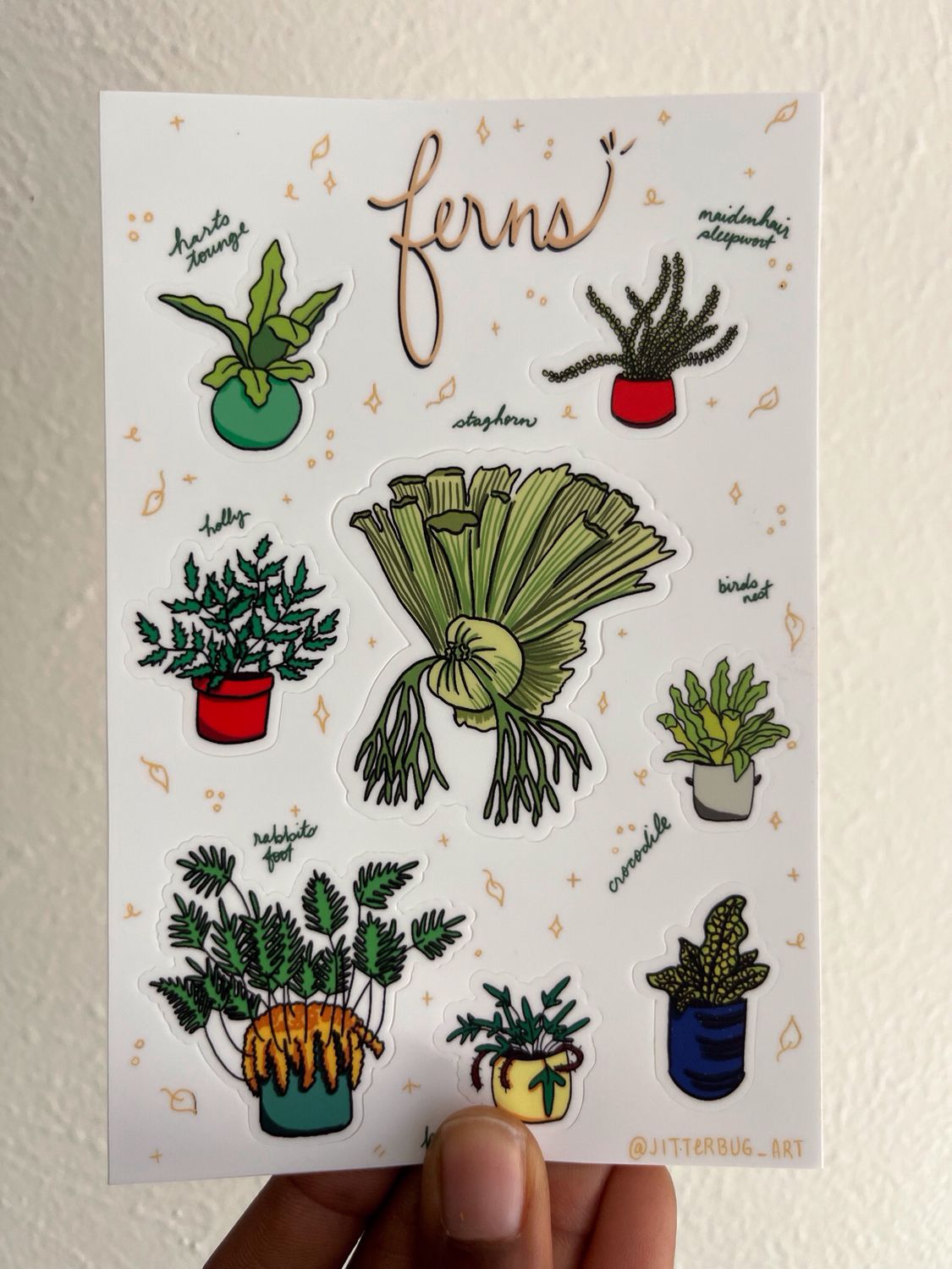 Fern Sticker Sheet