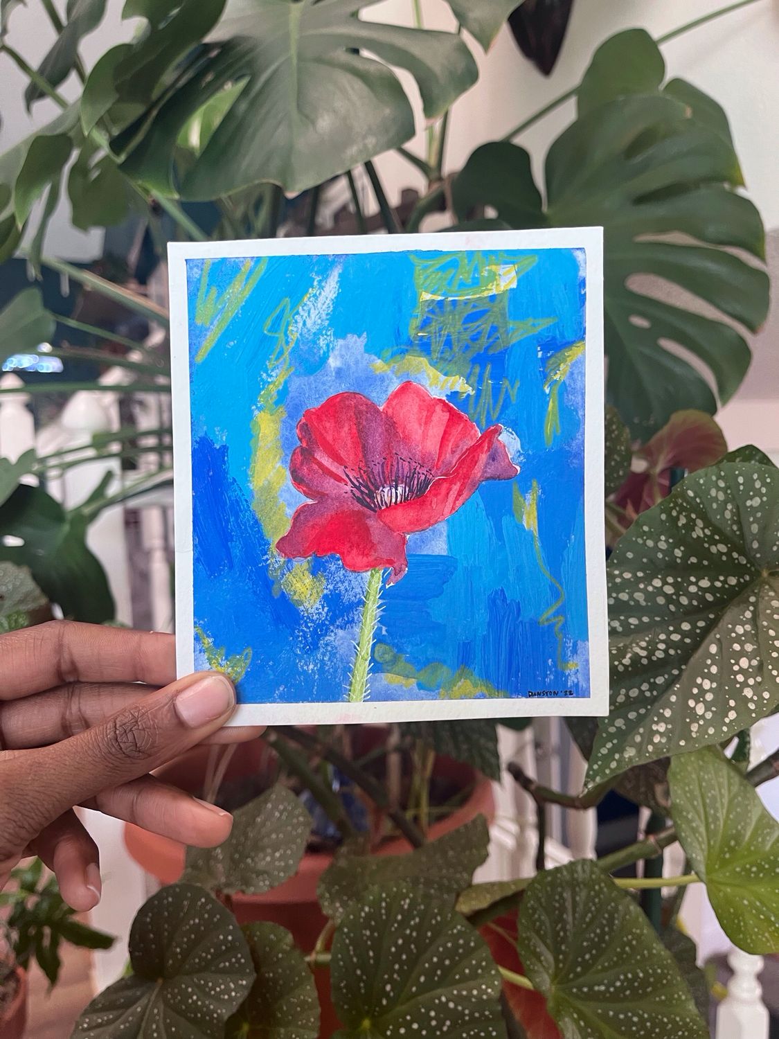 Poppy
