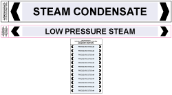 Steam