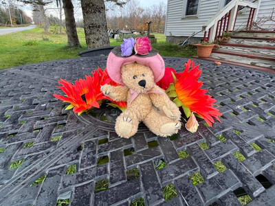 Boyd’s Bear Collectible