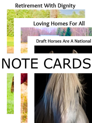 Note Cards