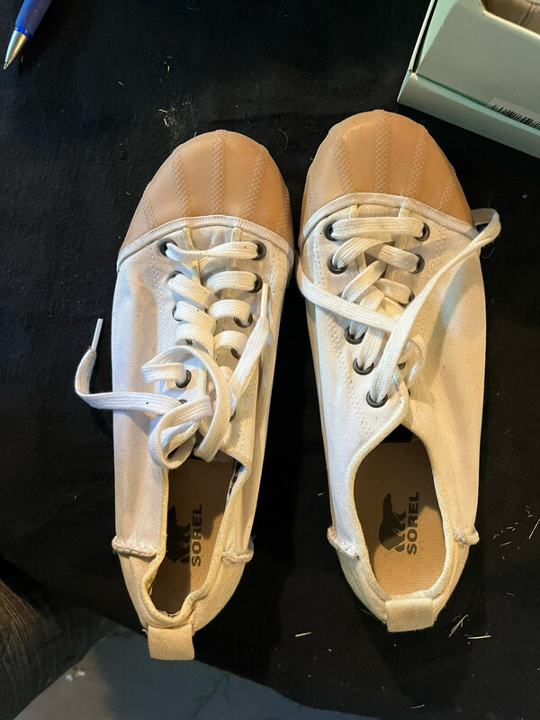 Sorel Sneakers