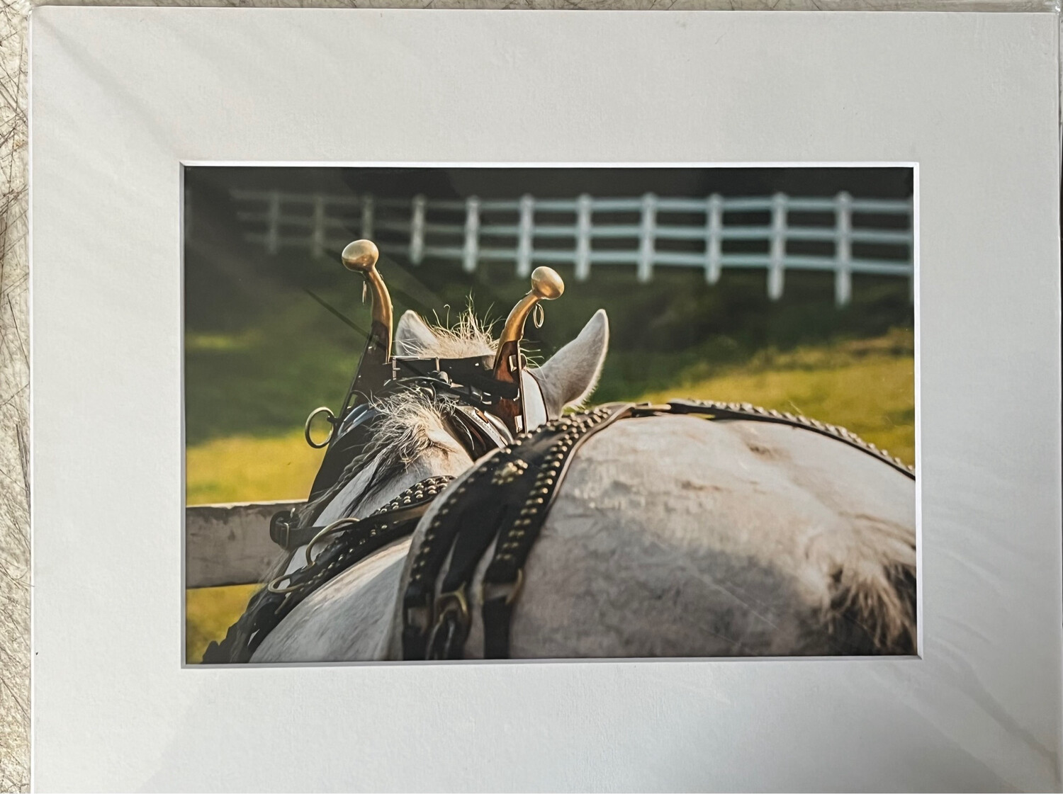 Piper 2 print