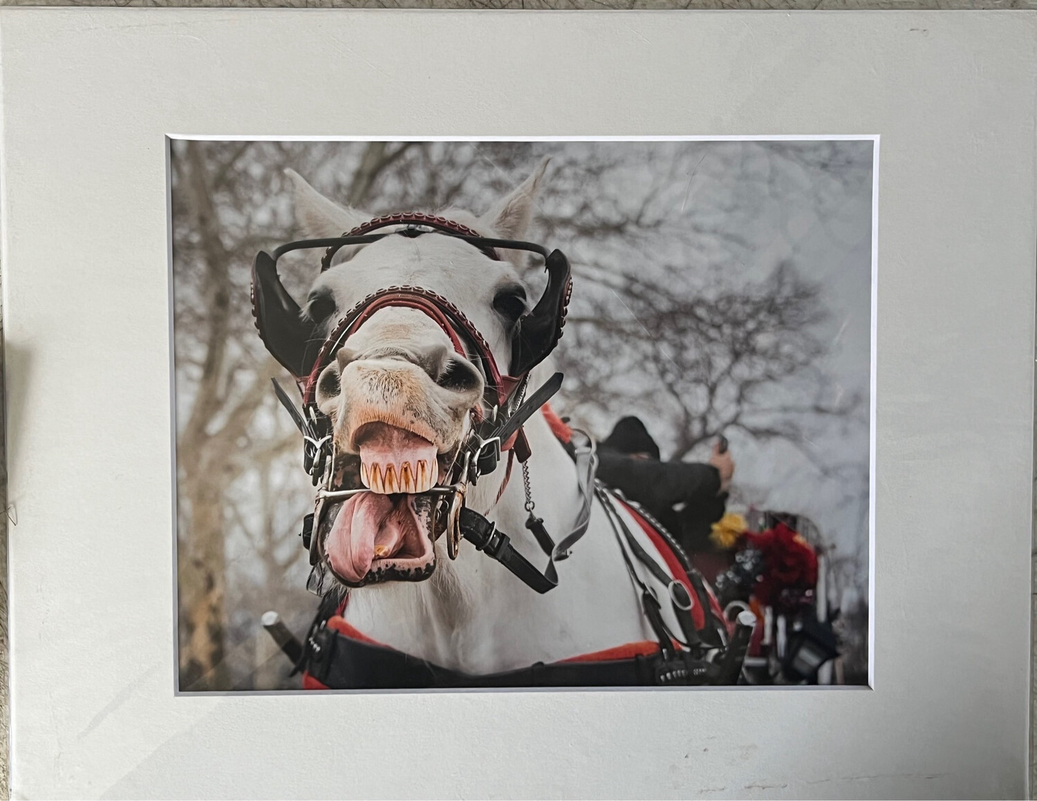 NYC Carriage Horse 1 color print