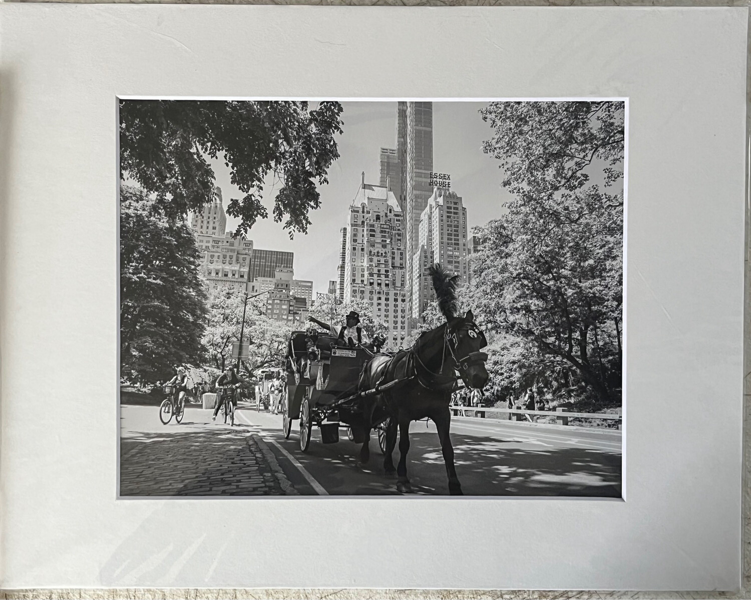 NYC Carriage Horse 2 print