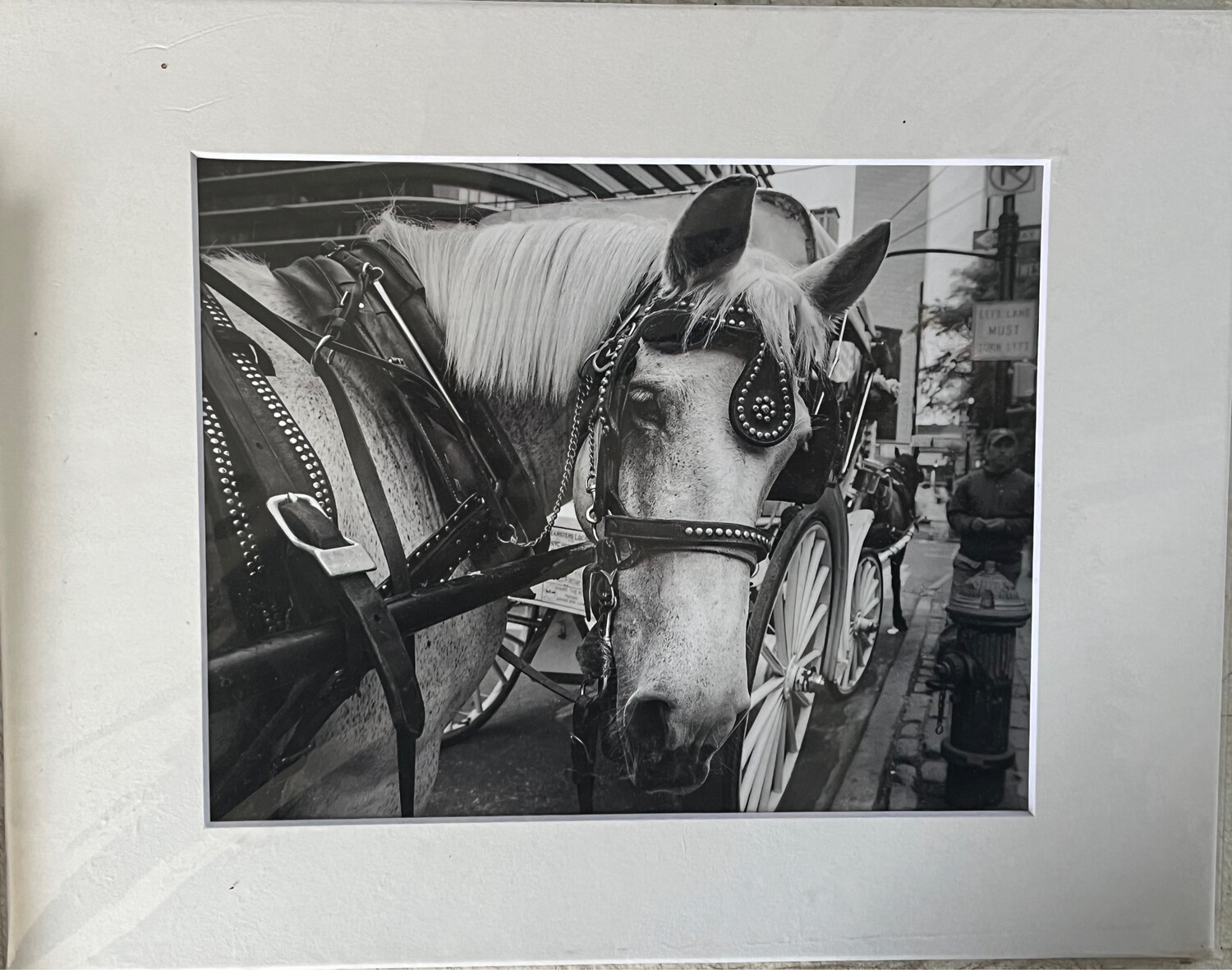 NYC Carriage Horse 4 print