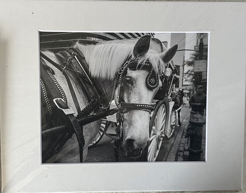 NYC Carriage Horse 4 print