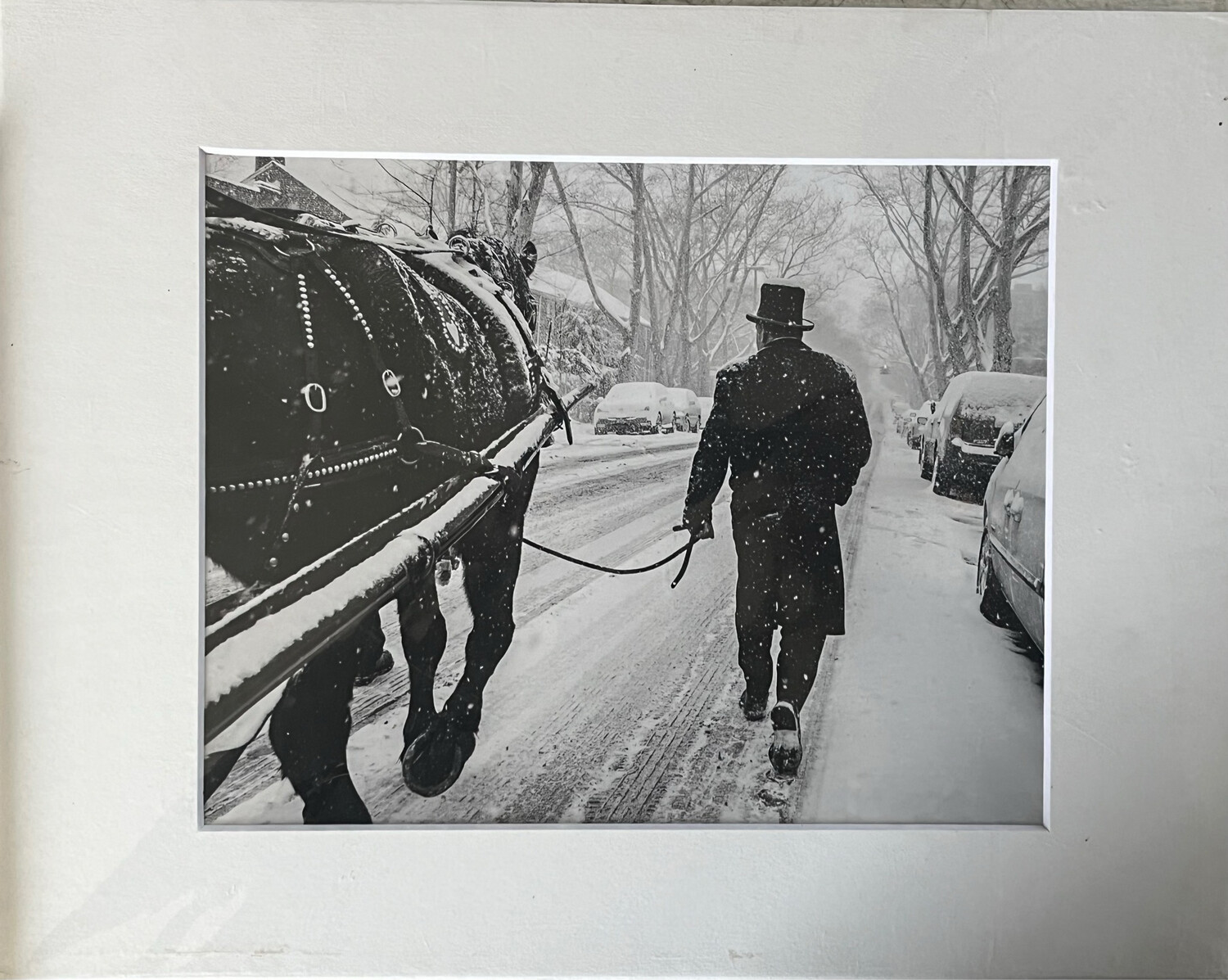 NYC Carriage Horse 3 print