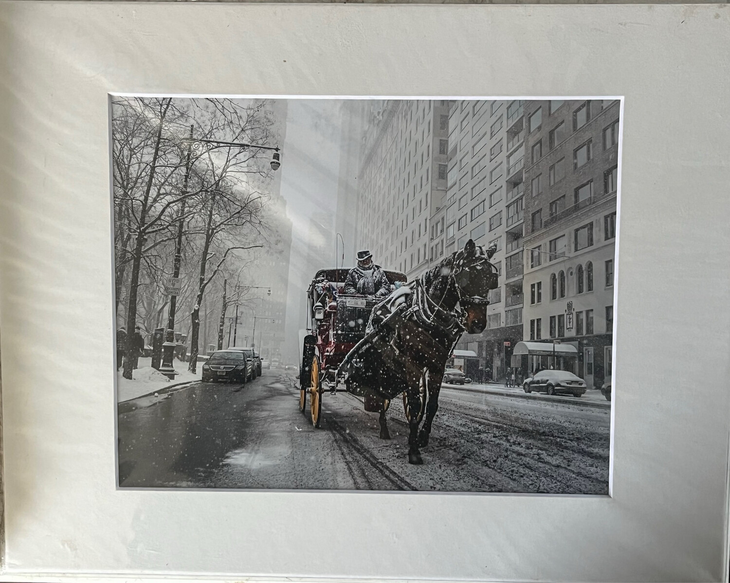 NYC Carriage Horse 8 color print